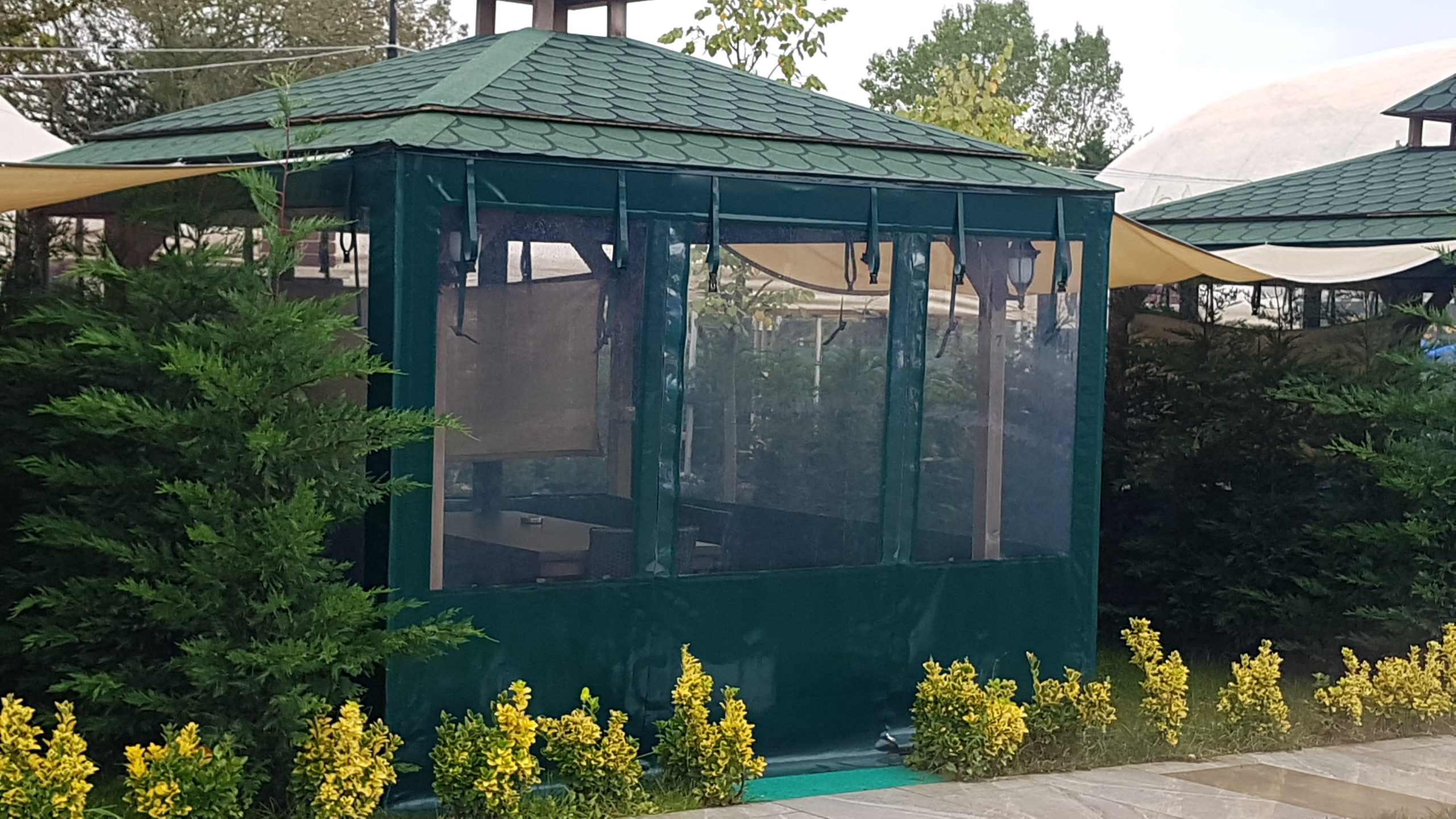 Kamelya Etrafı Şeffaf Kapama